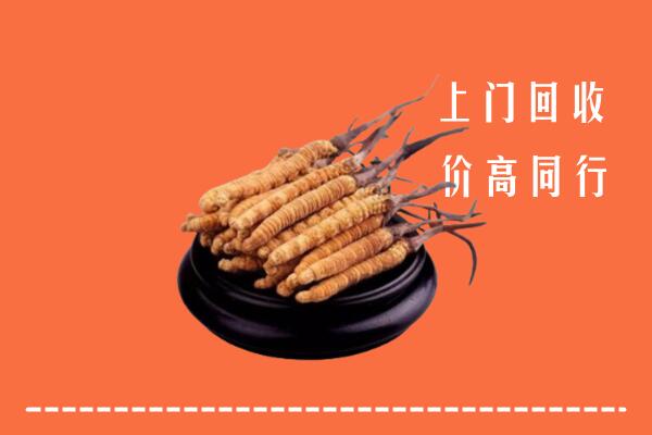 附近收购：巴塘县冬虫夏草回收多少钱每克