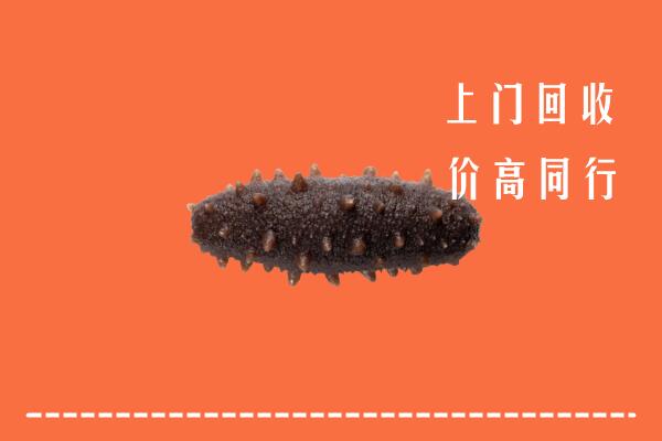 巴塘县回收海参