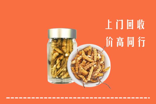 巴塘县回收冬虫夏草