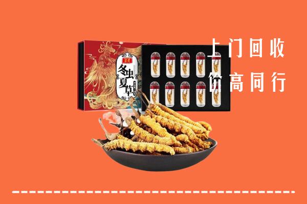 巴塘县回收虫草